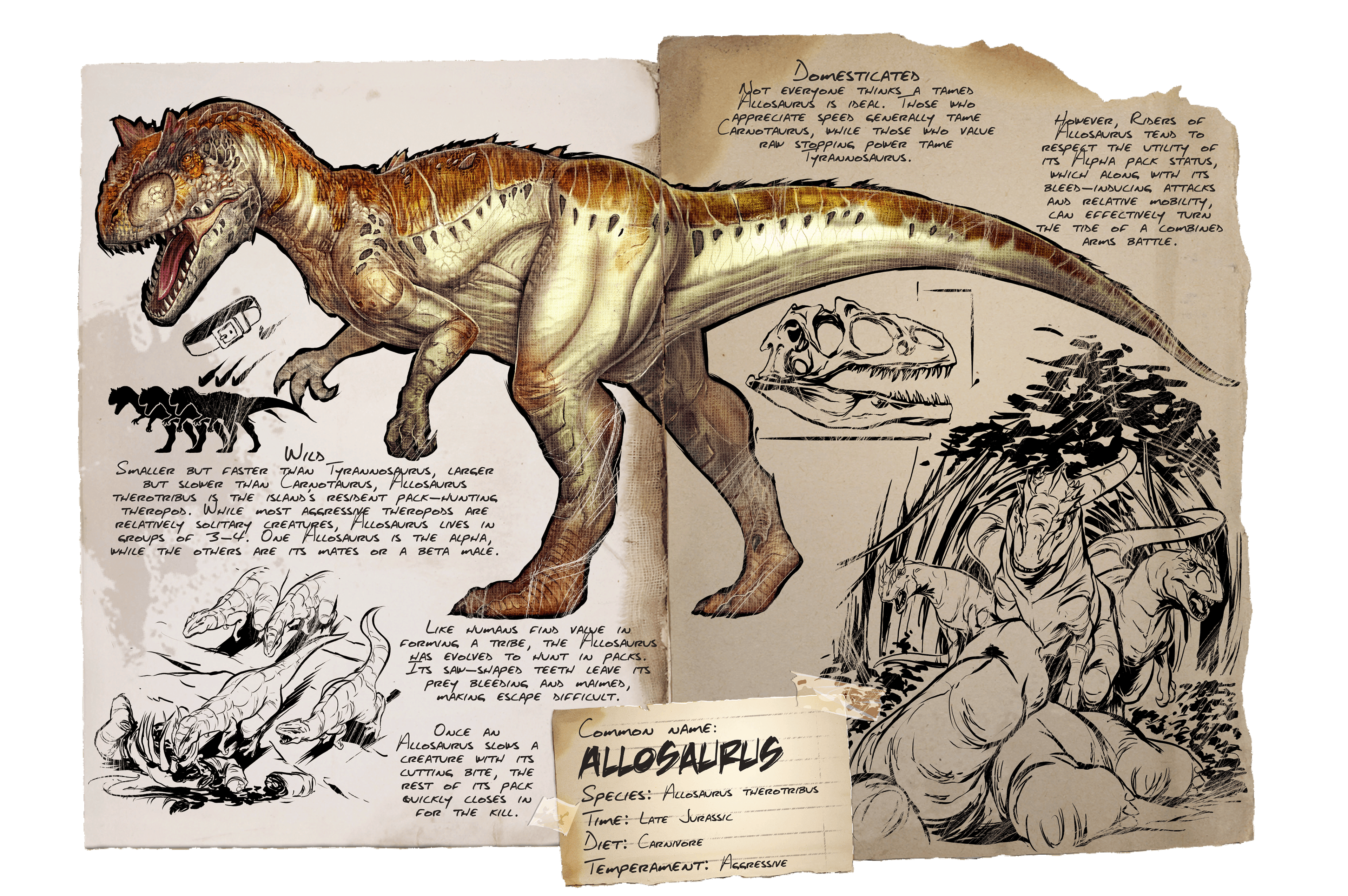 Allosaurus
