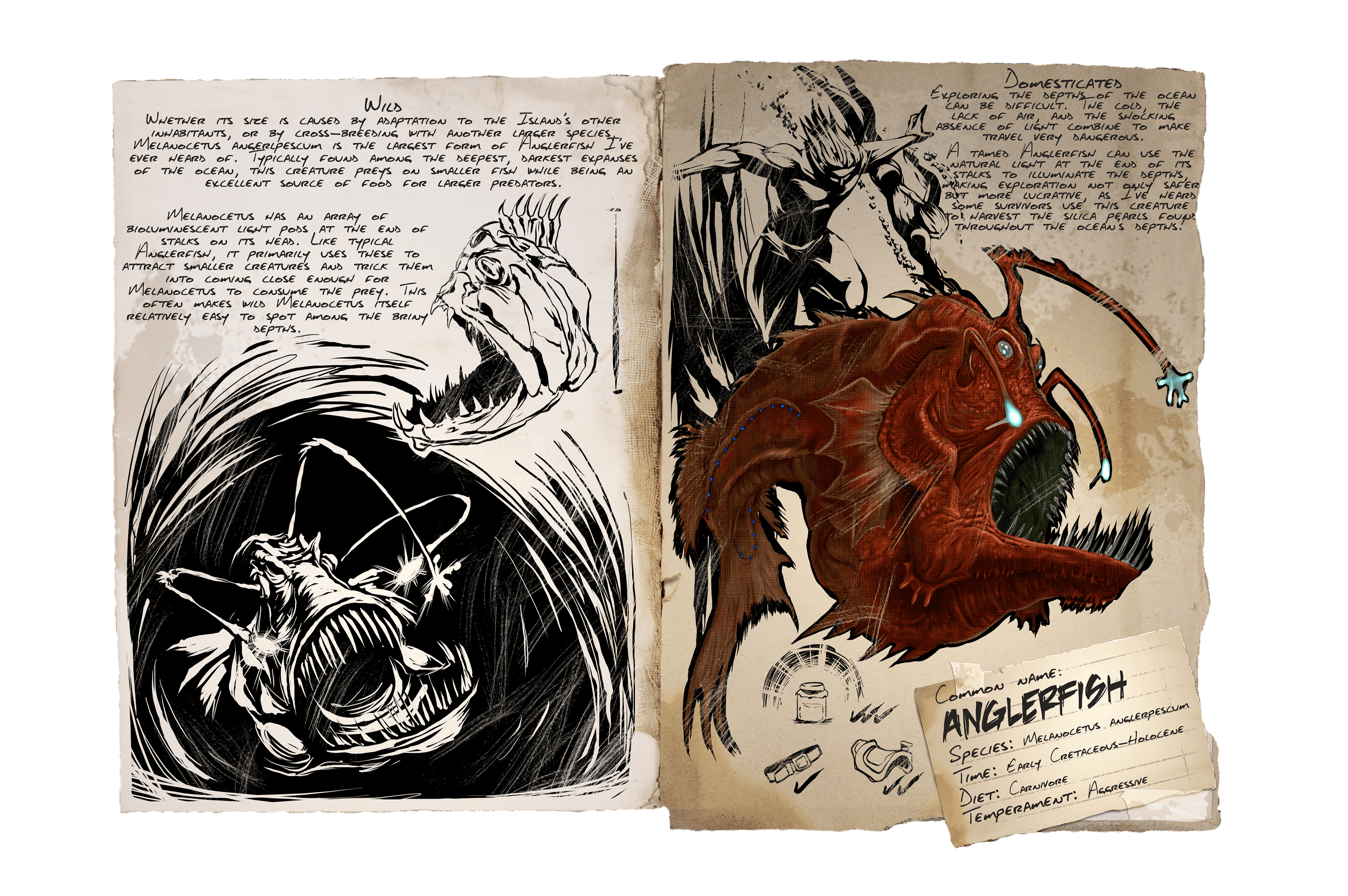 Anglerfish
