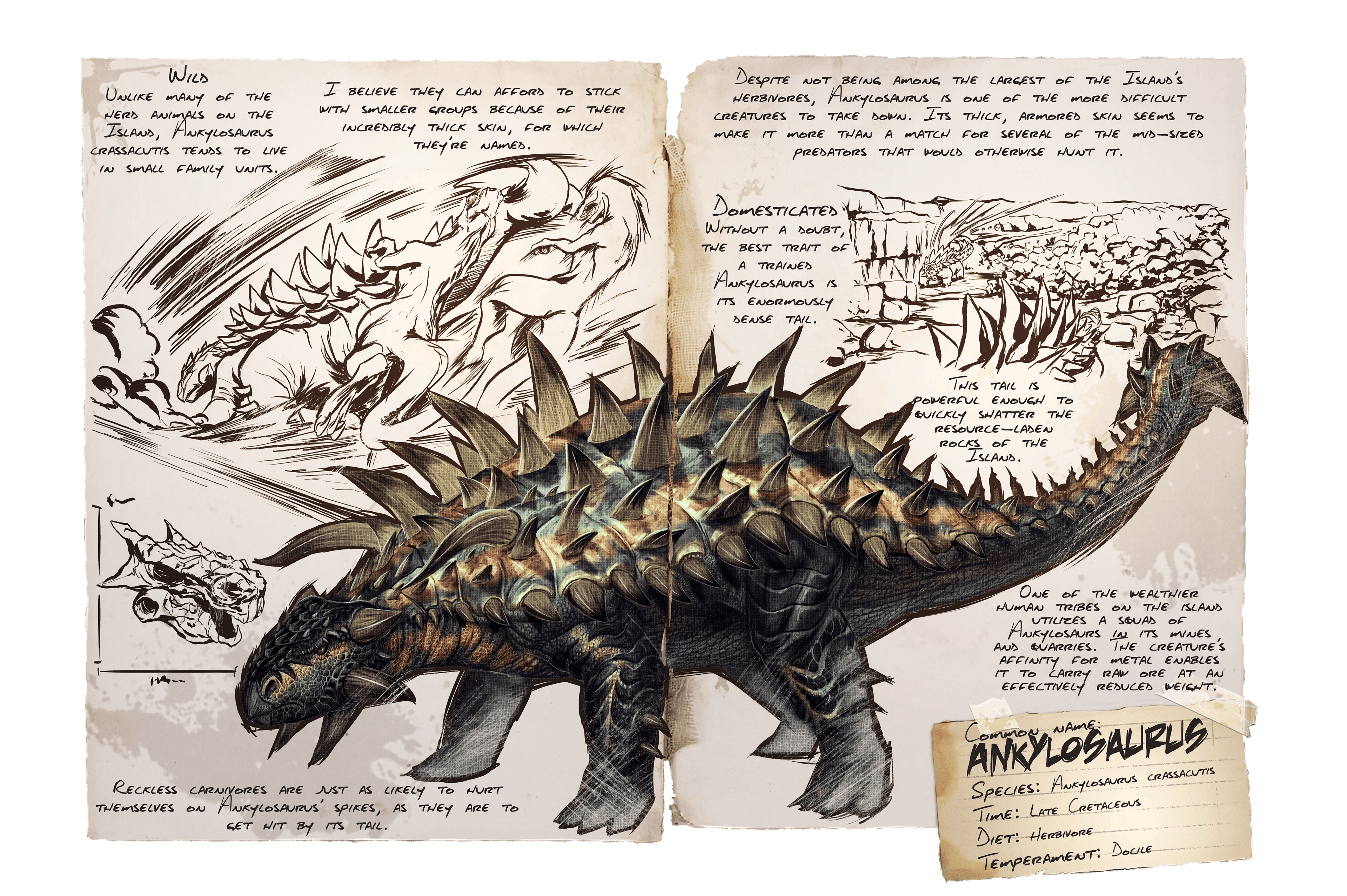 Ankylosaurus