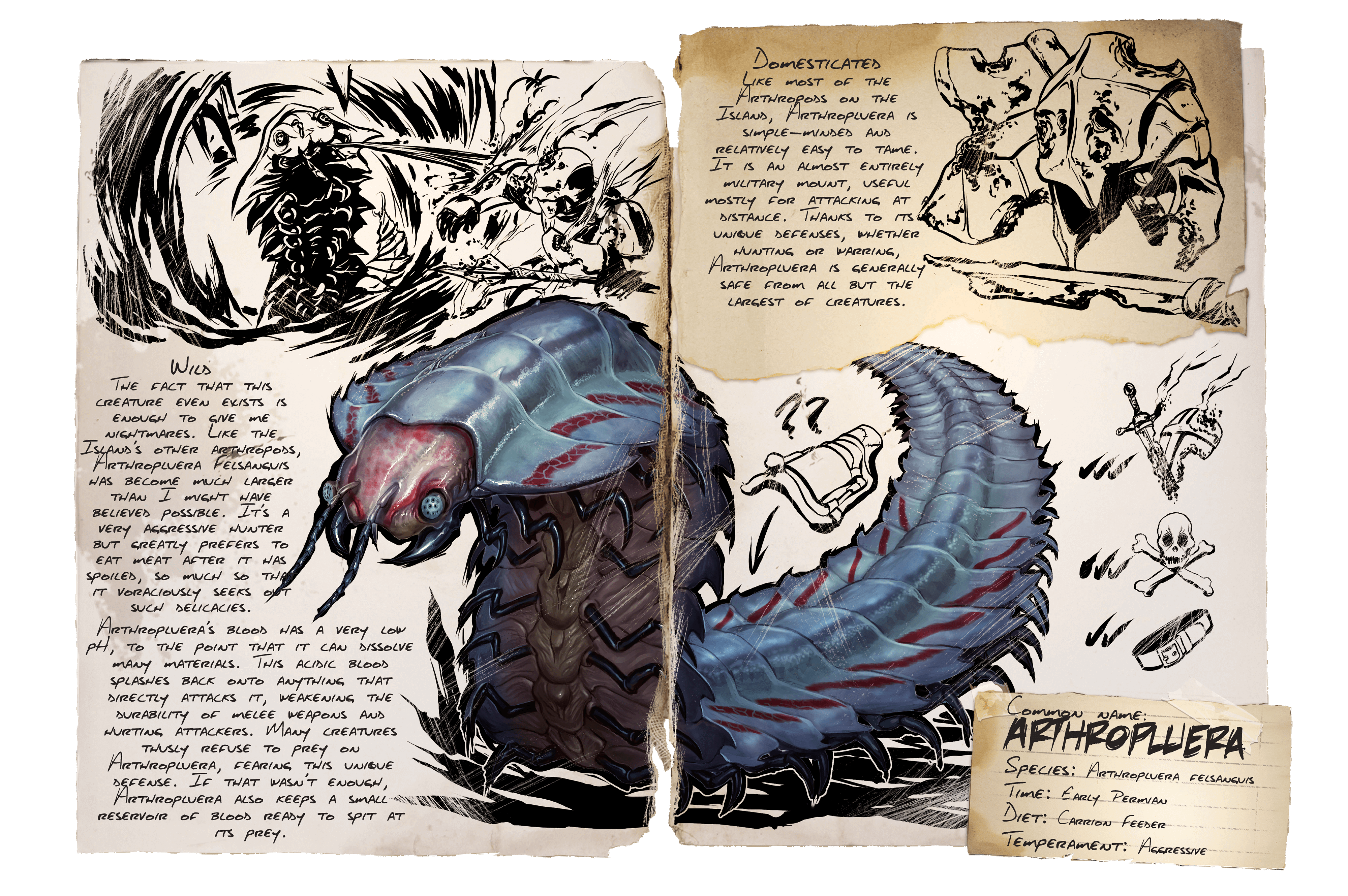 Arthropluera