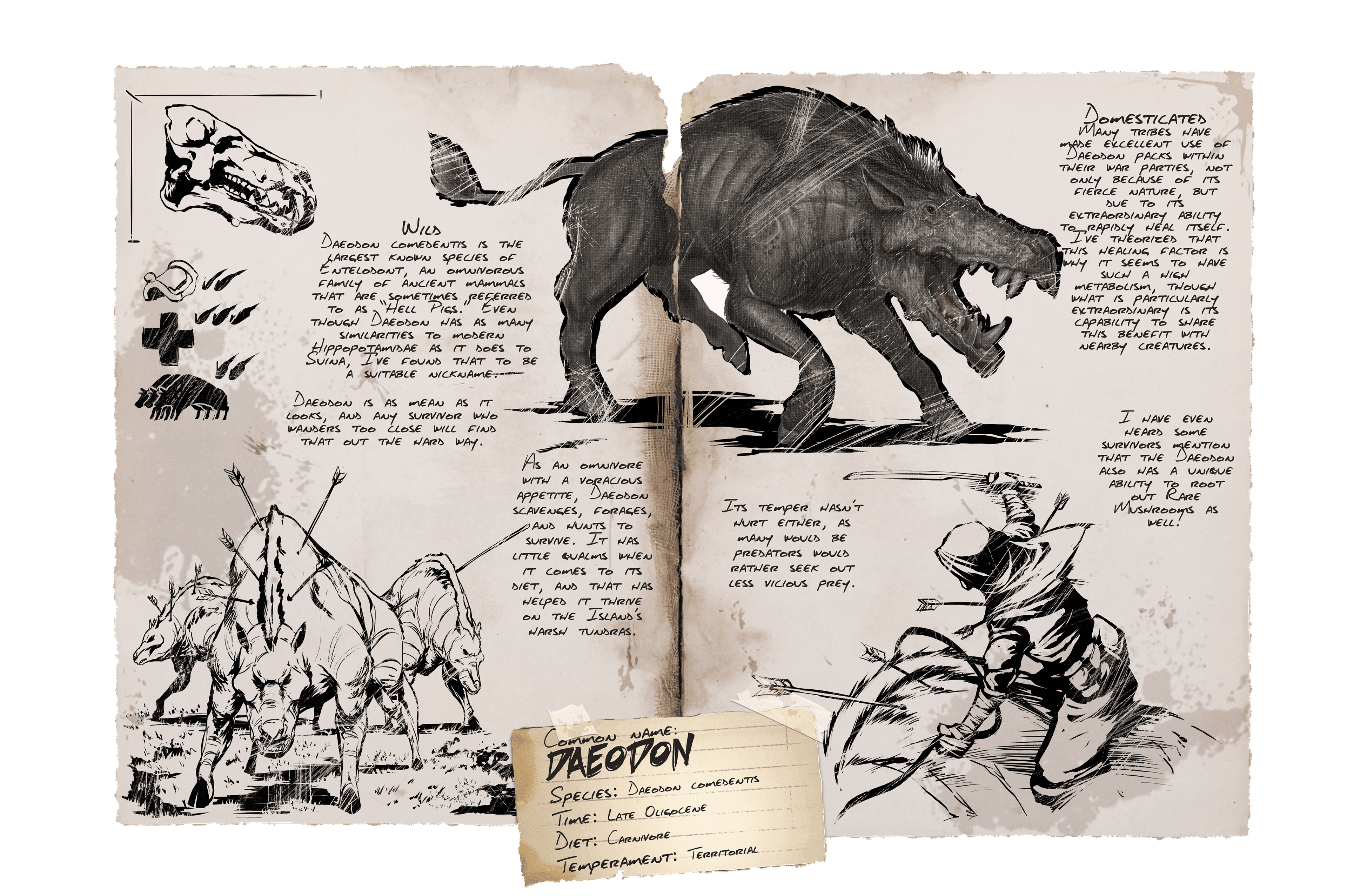 Daeodon