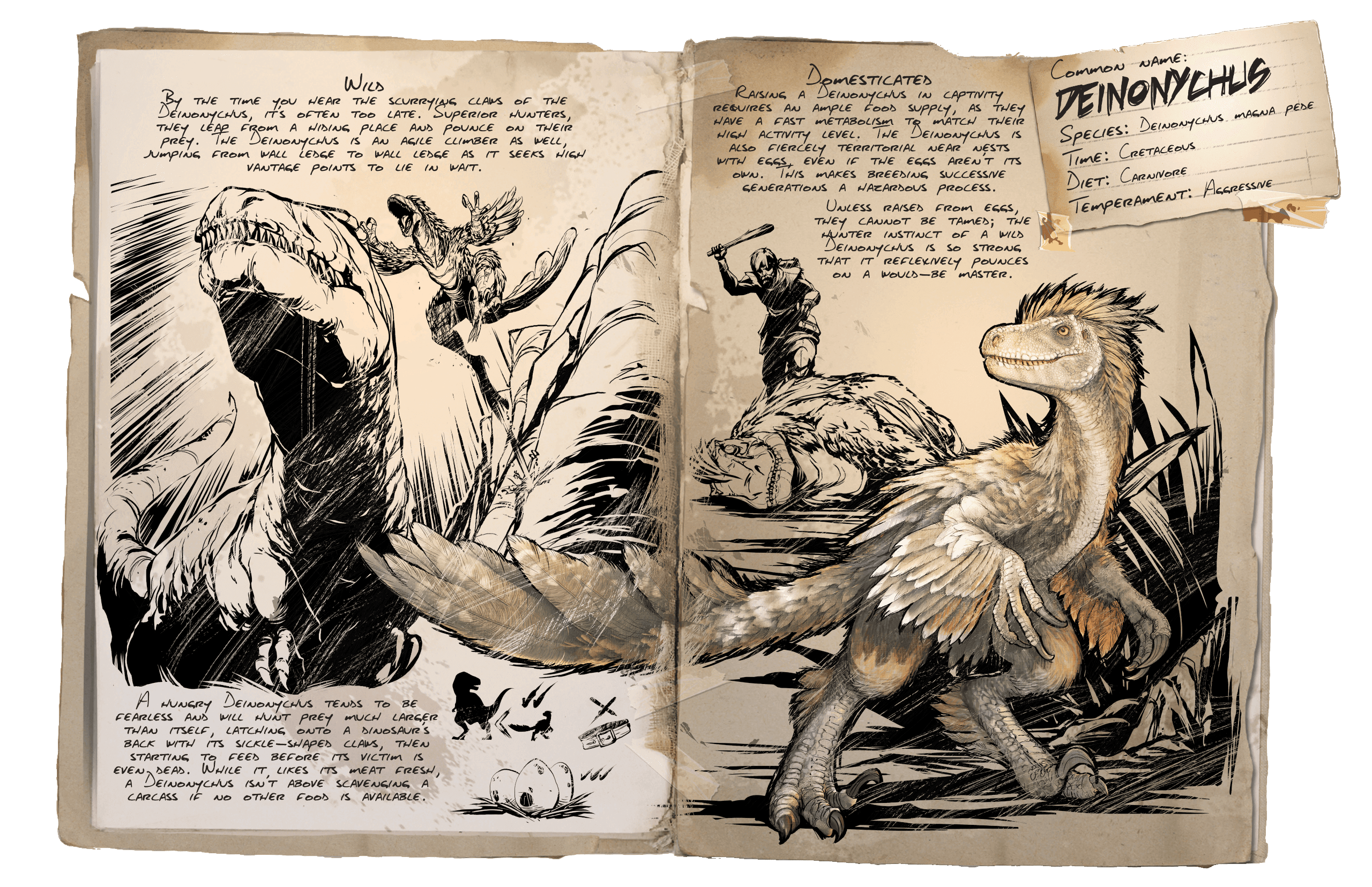 Deinonychus