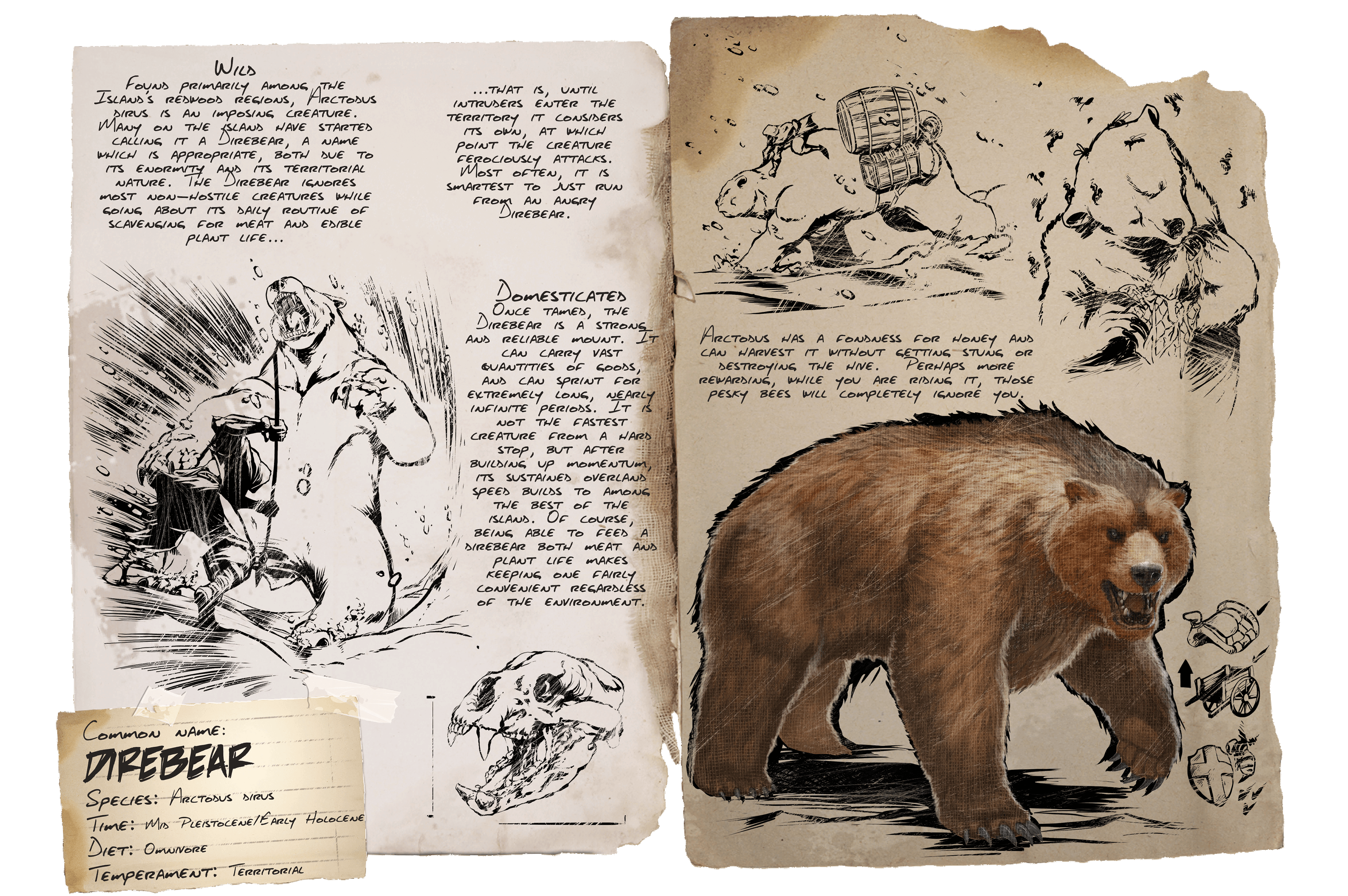 Dire Bear