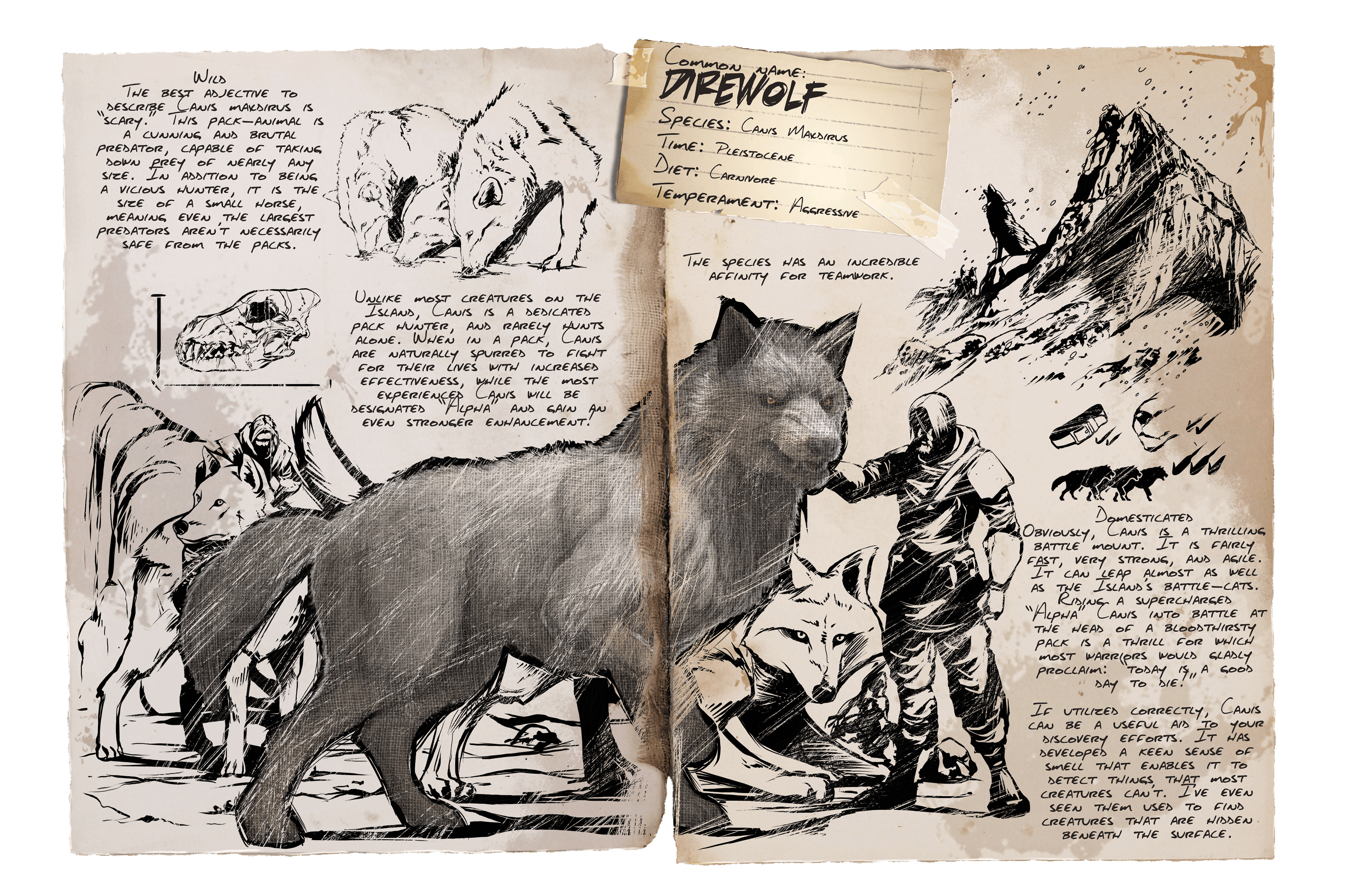 Direwolf