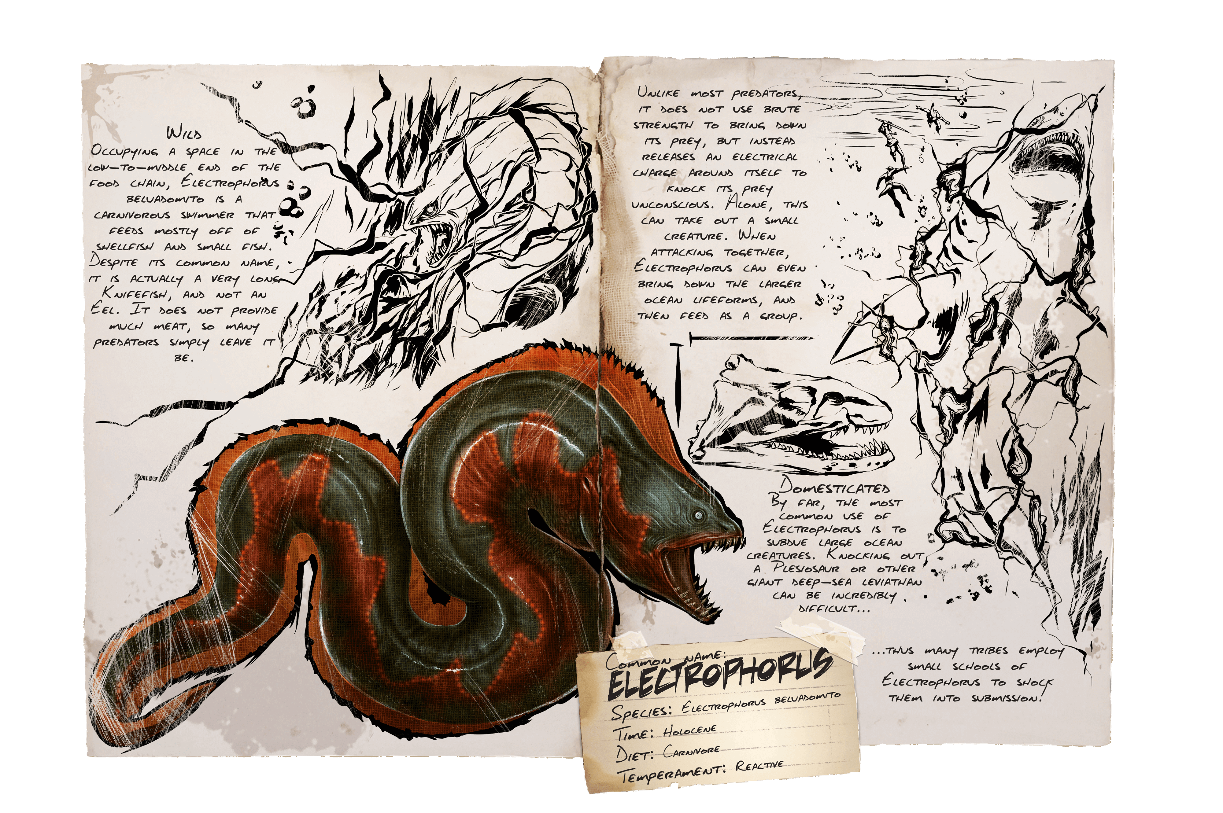 Electrophorus