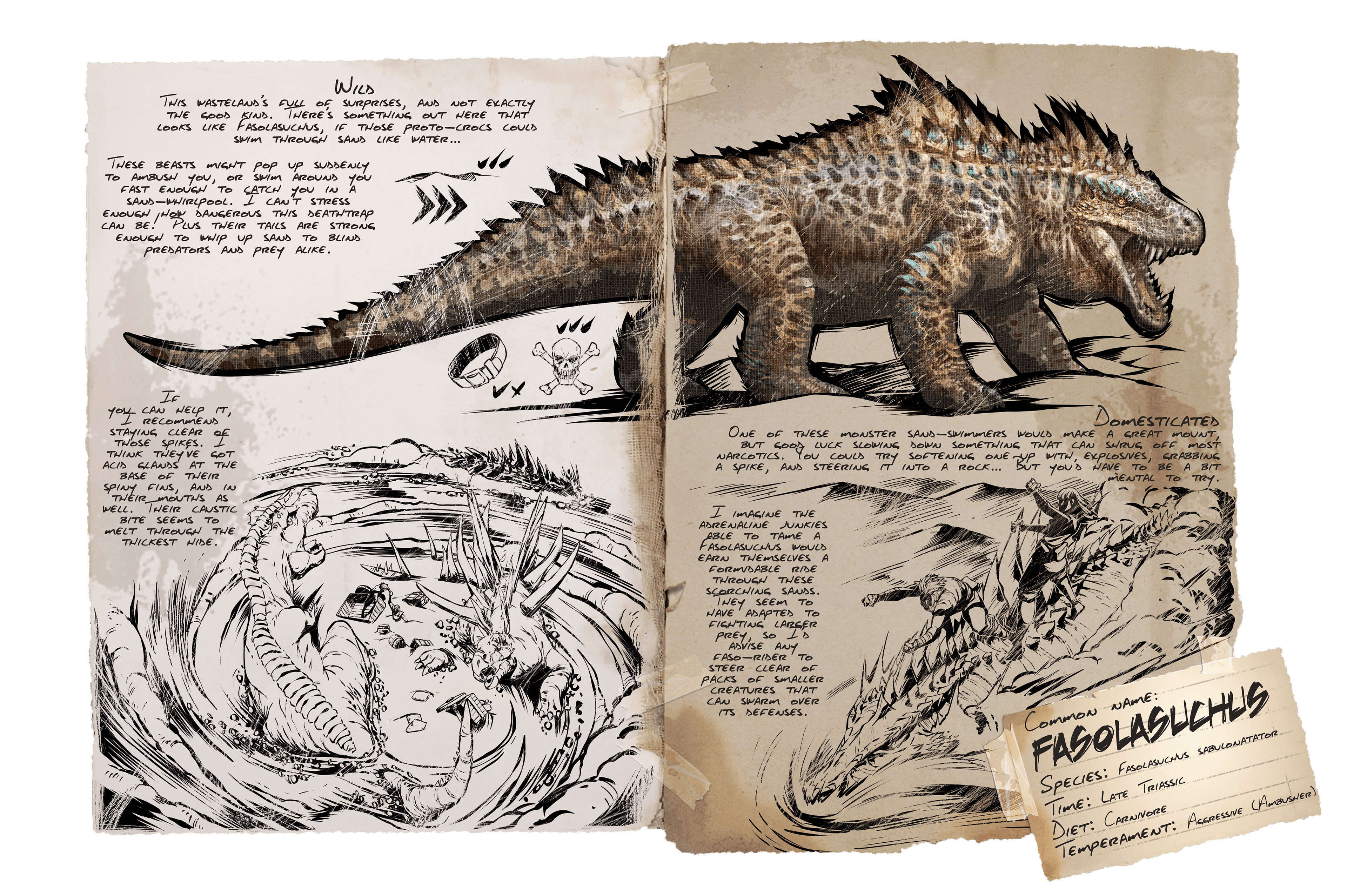 Fasolasuchus