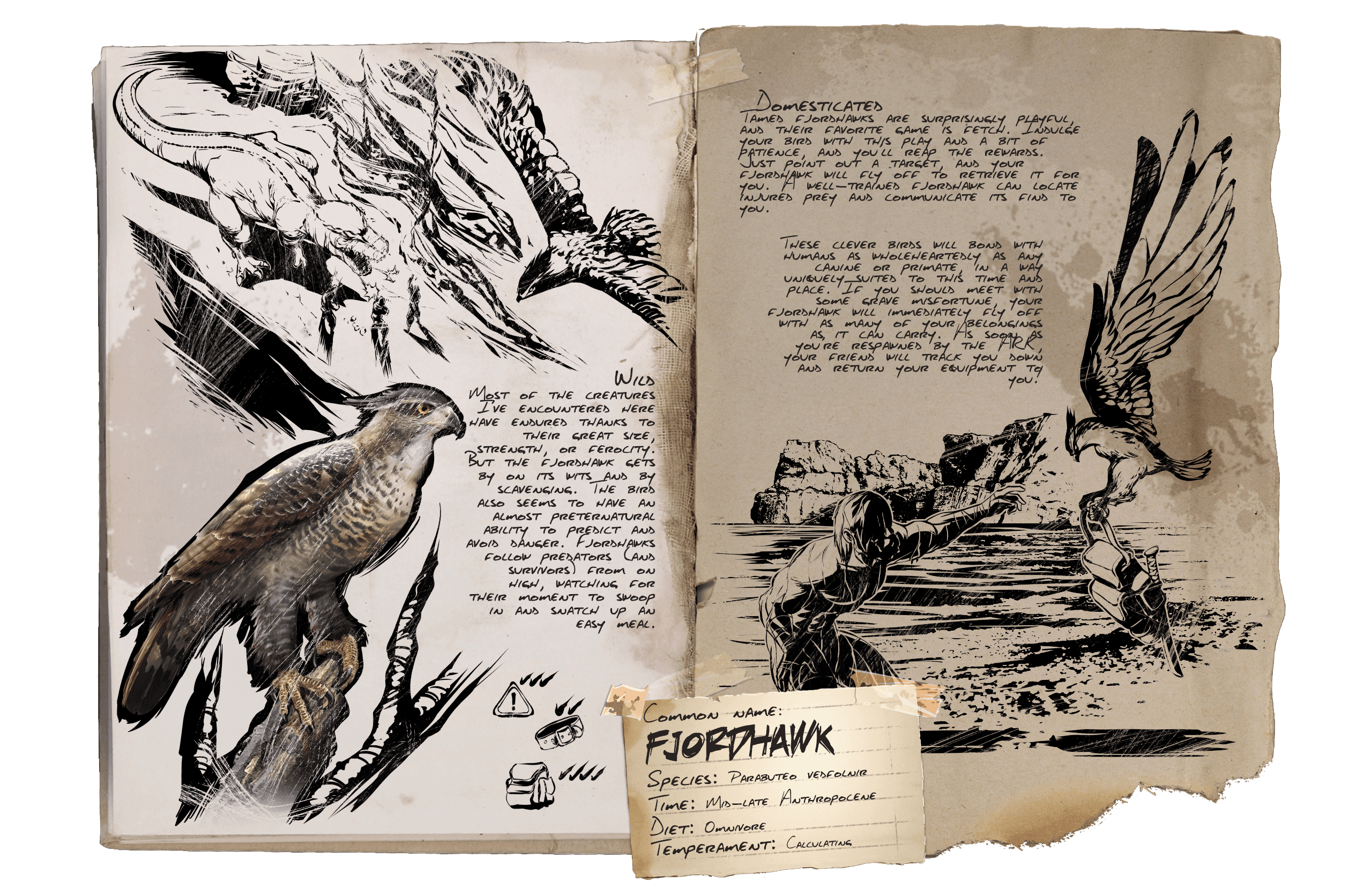 Fjordhawk
