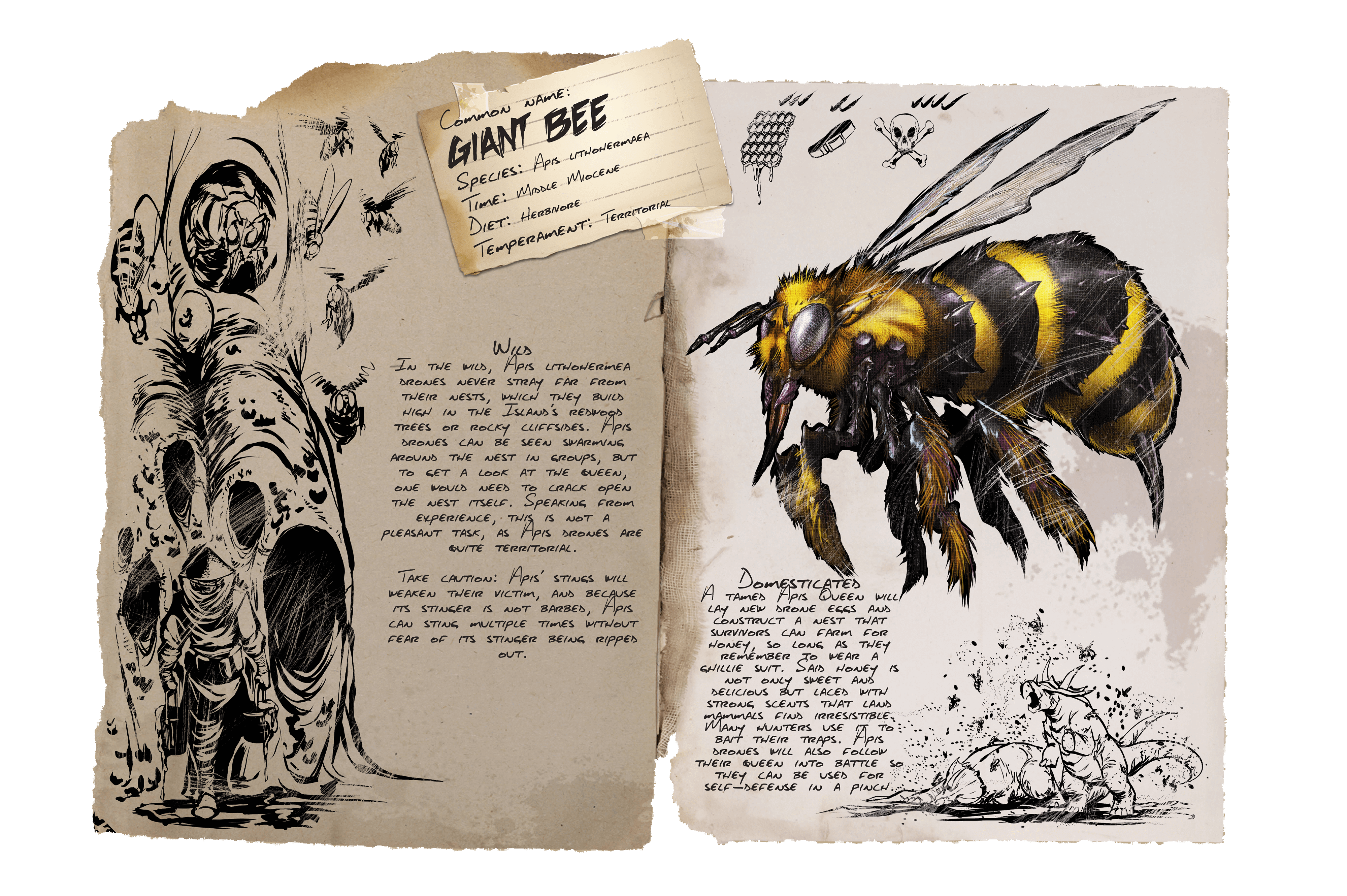 Giant Bee