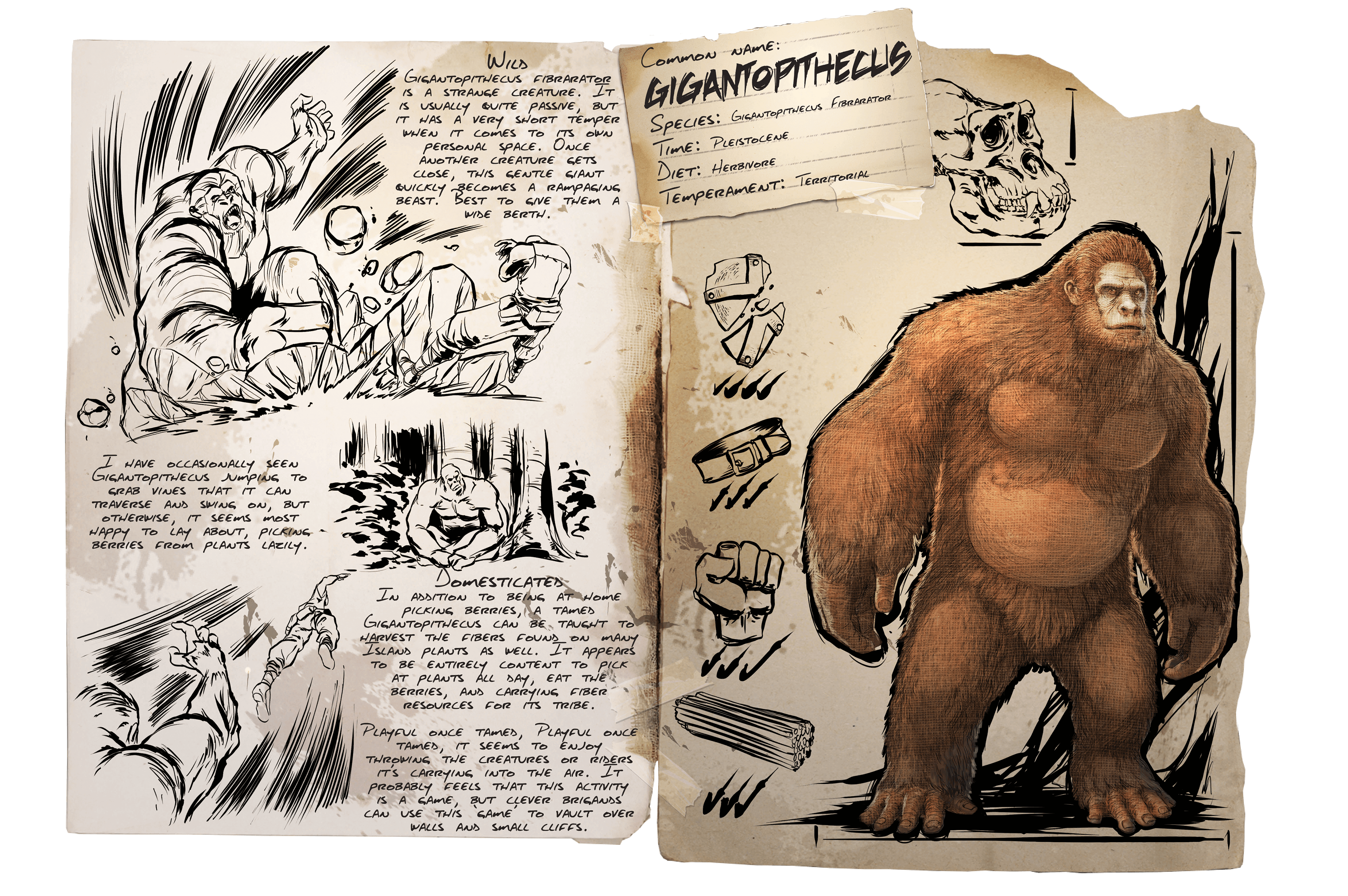 Gigantopithecus