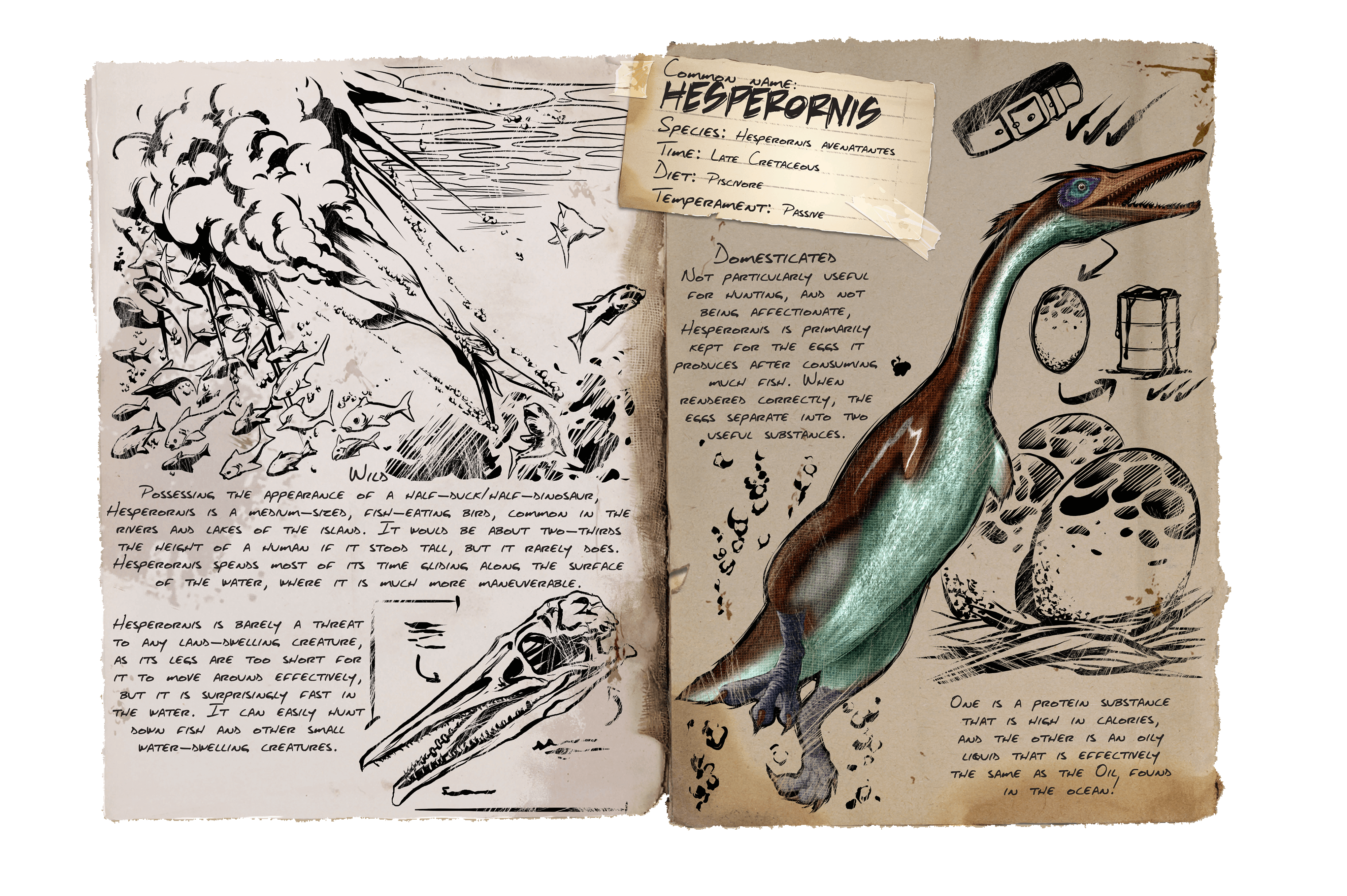 Hesperornis