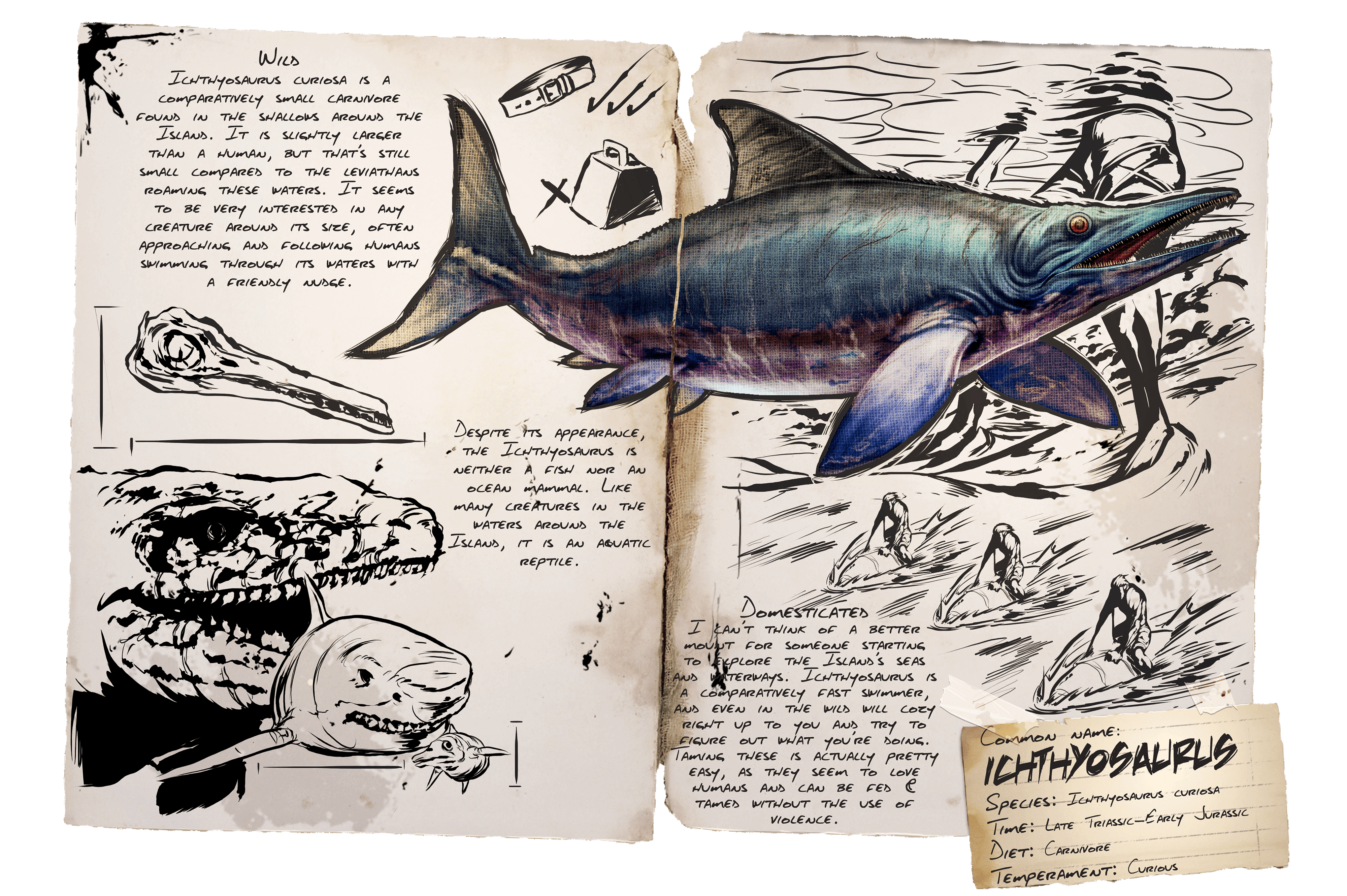 Ichthyosaurus