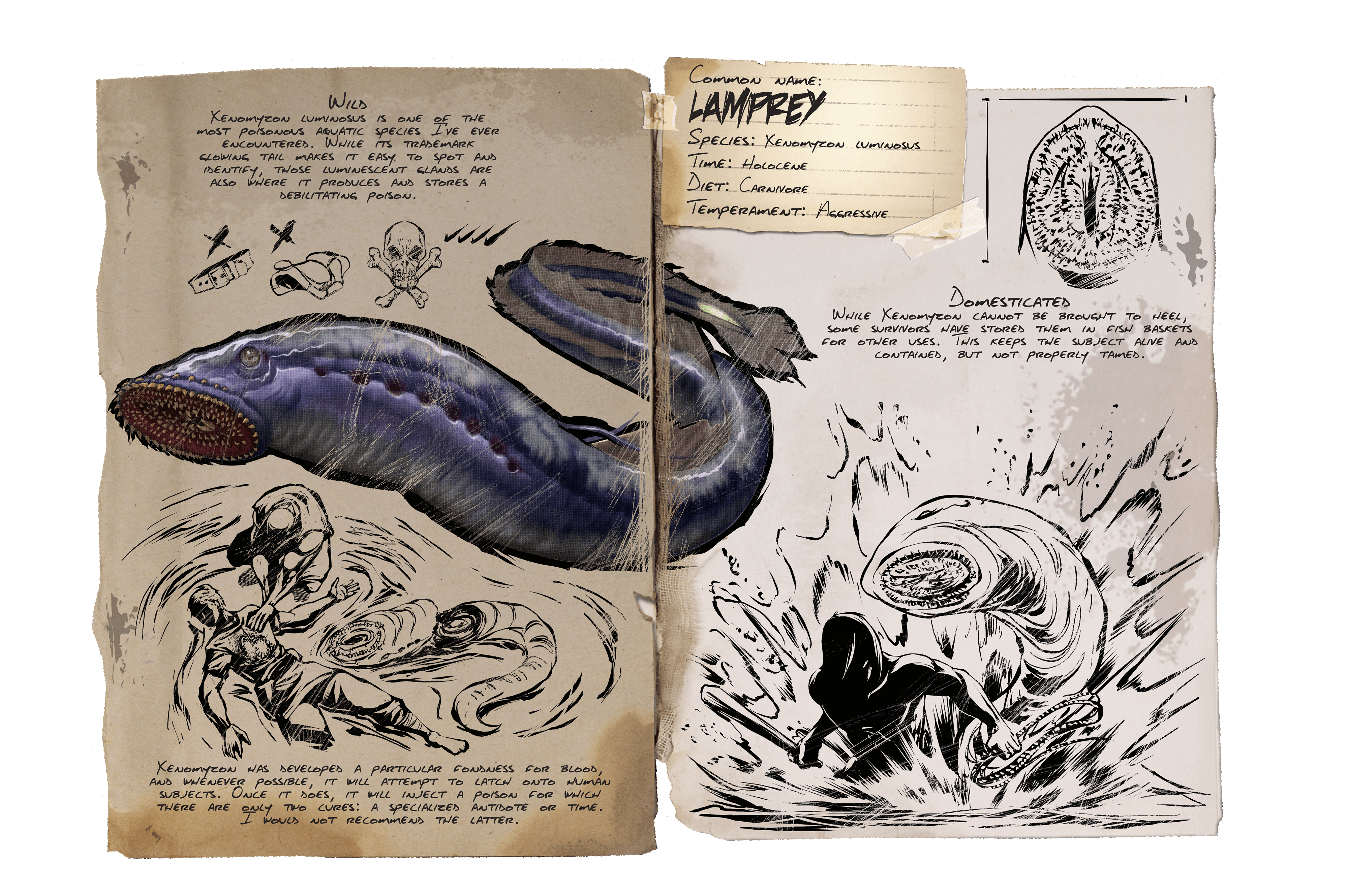 Lamprey