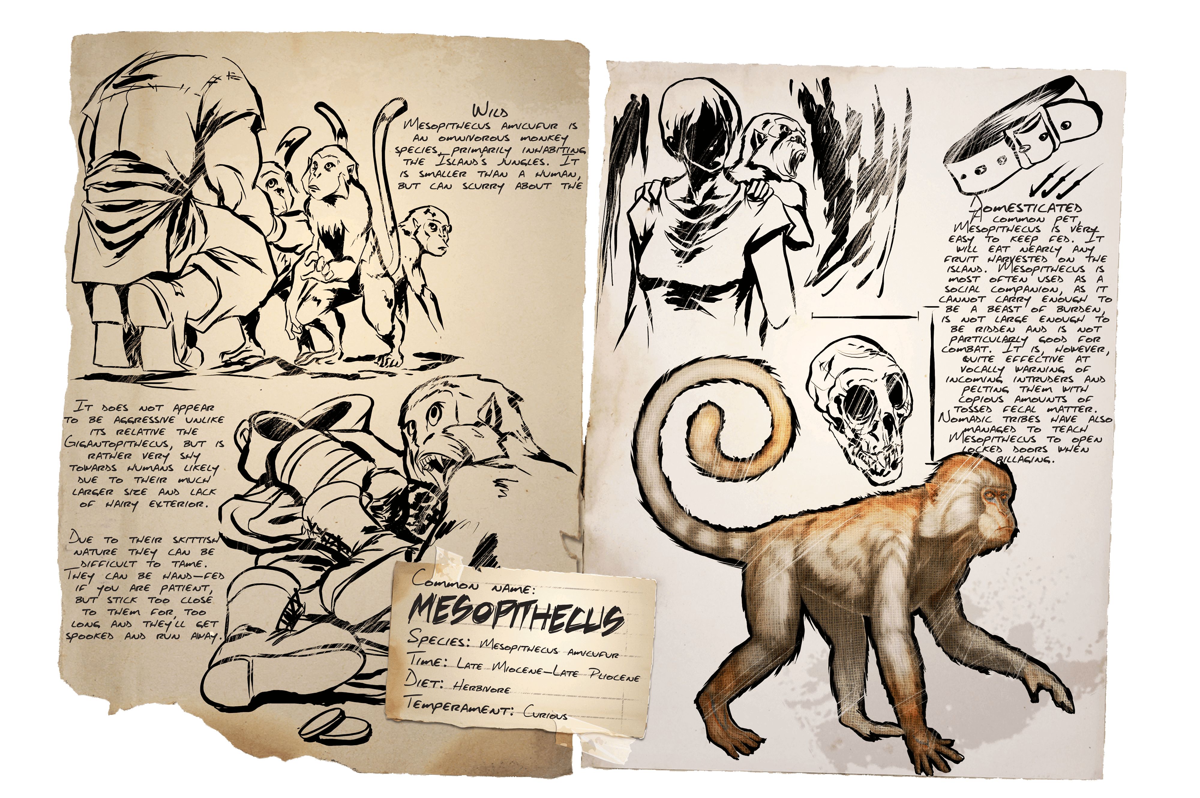 Mesopithecus