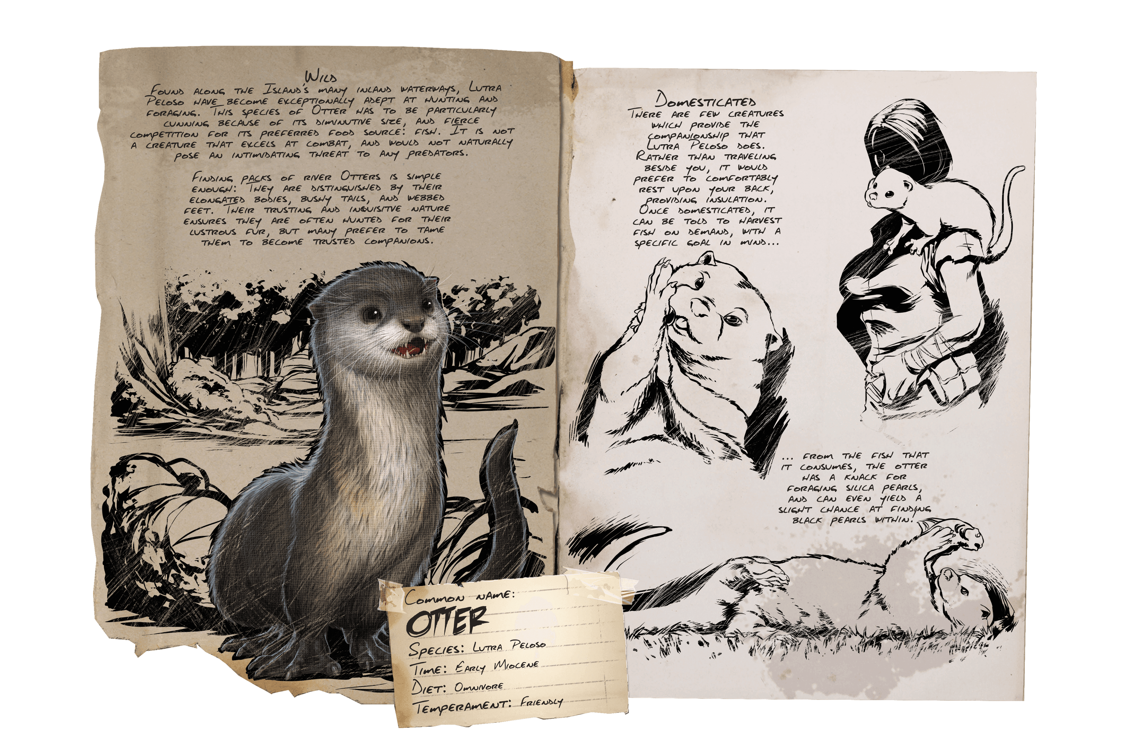 Otter
