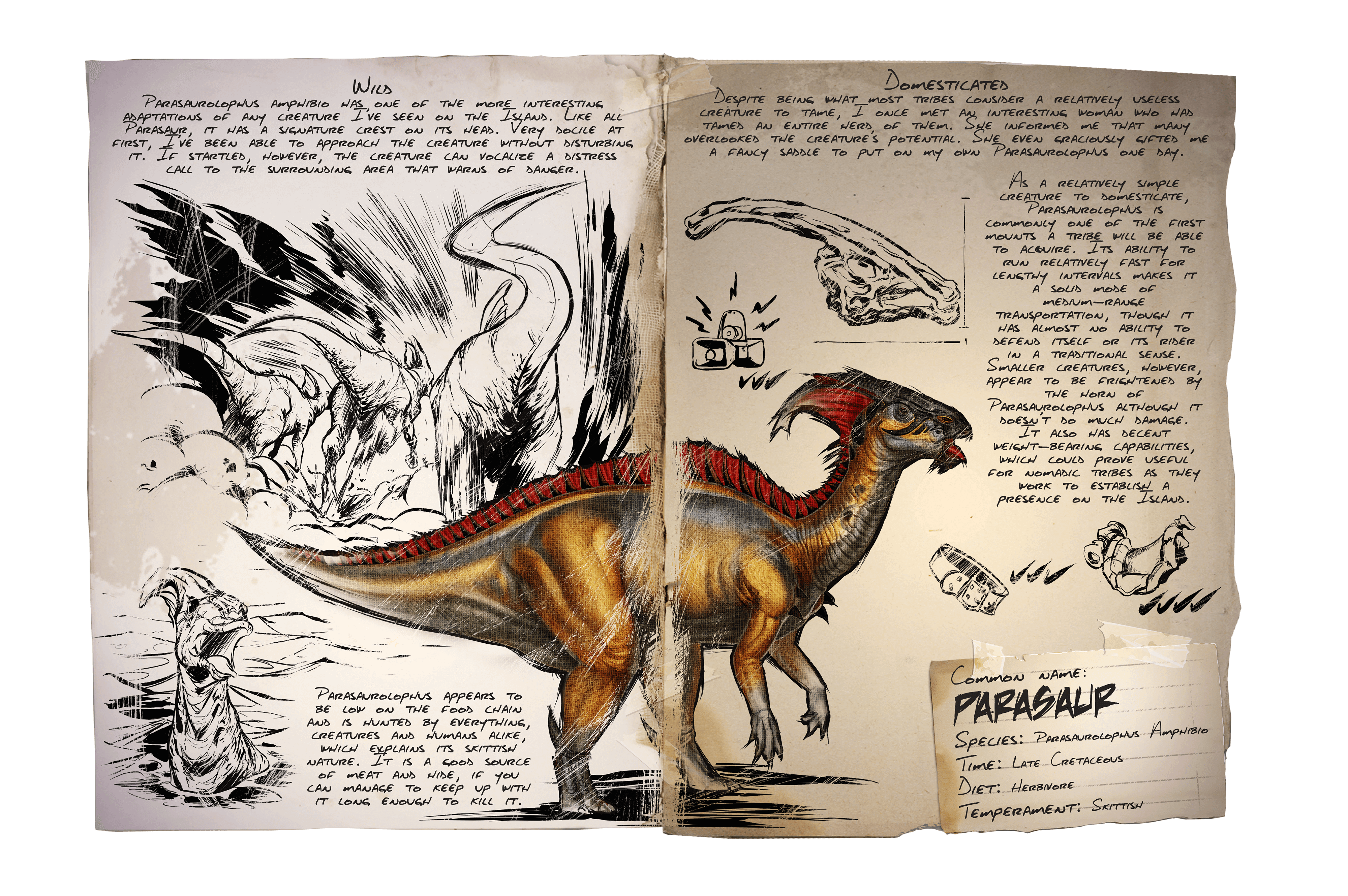 Parasaur