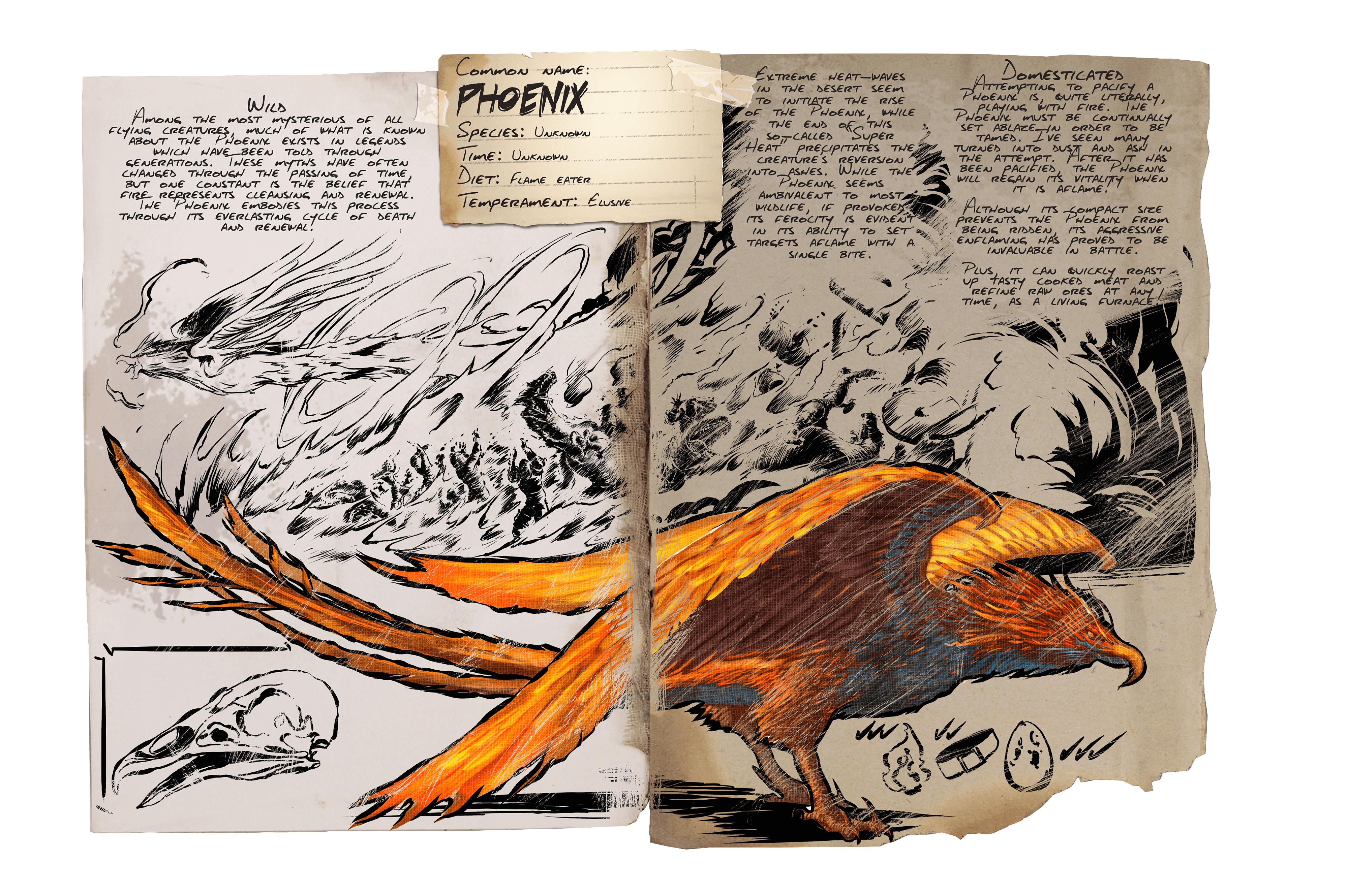 Phoenix