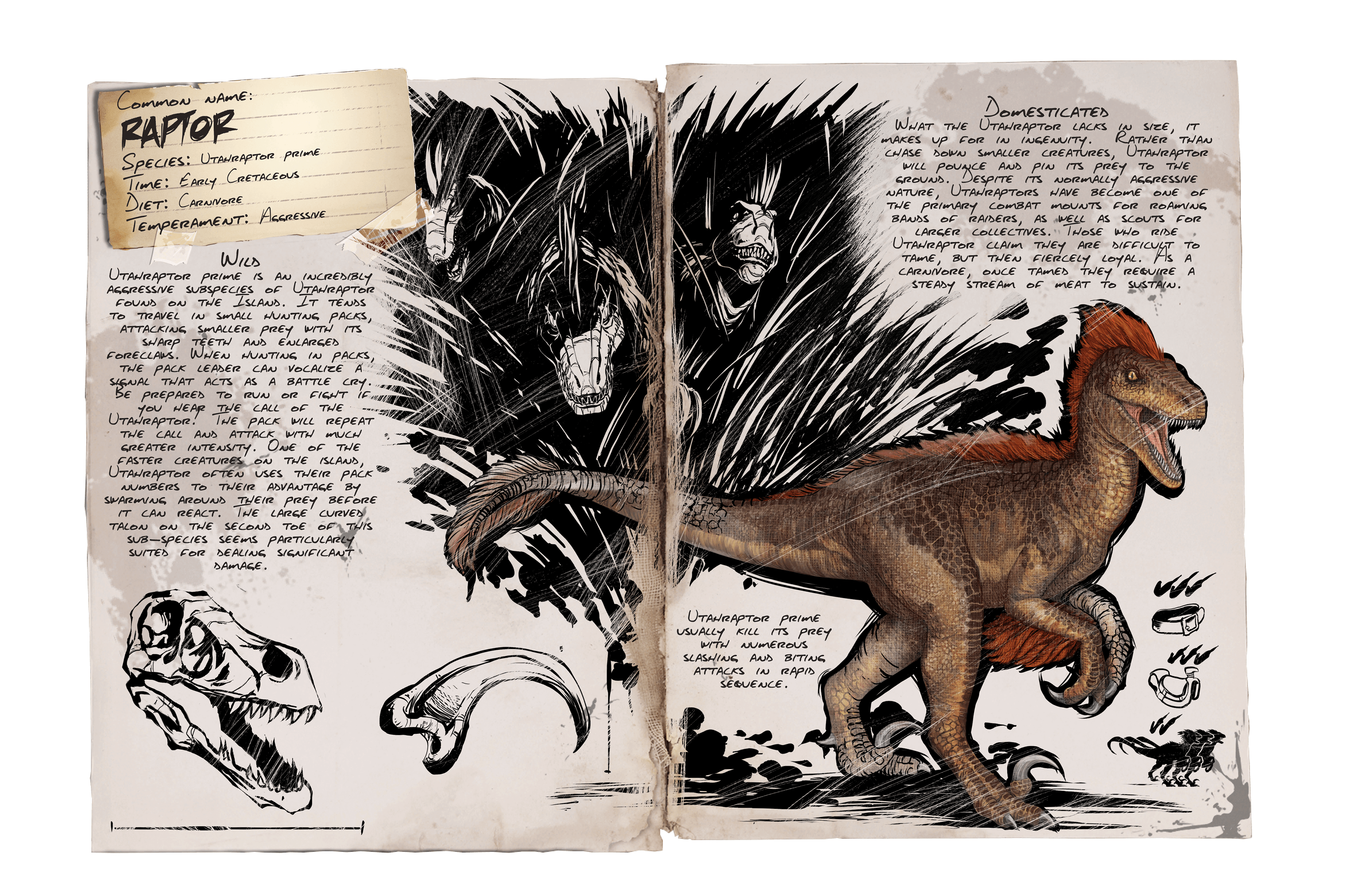 Raptor