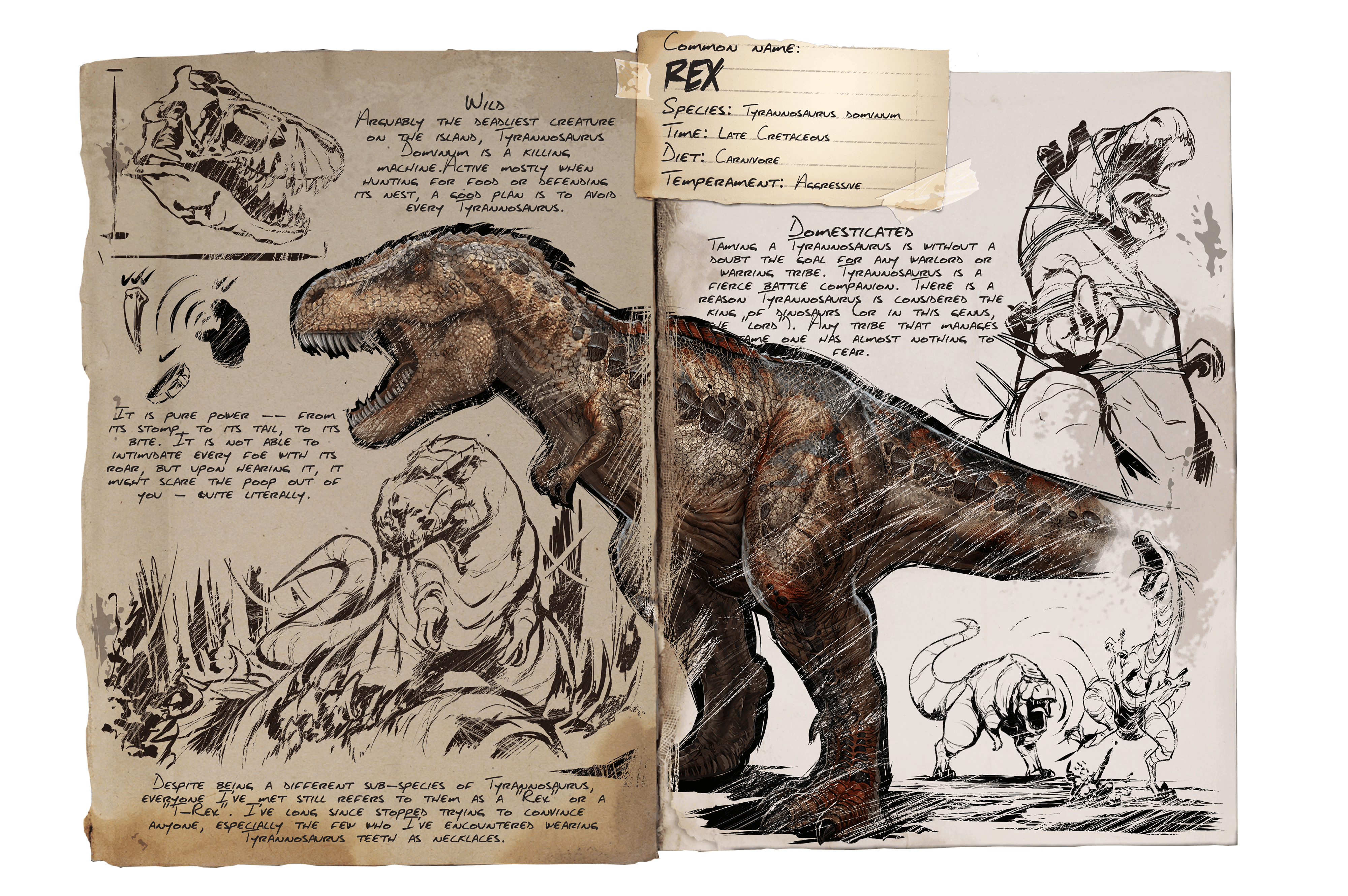 Rex