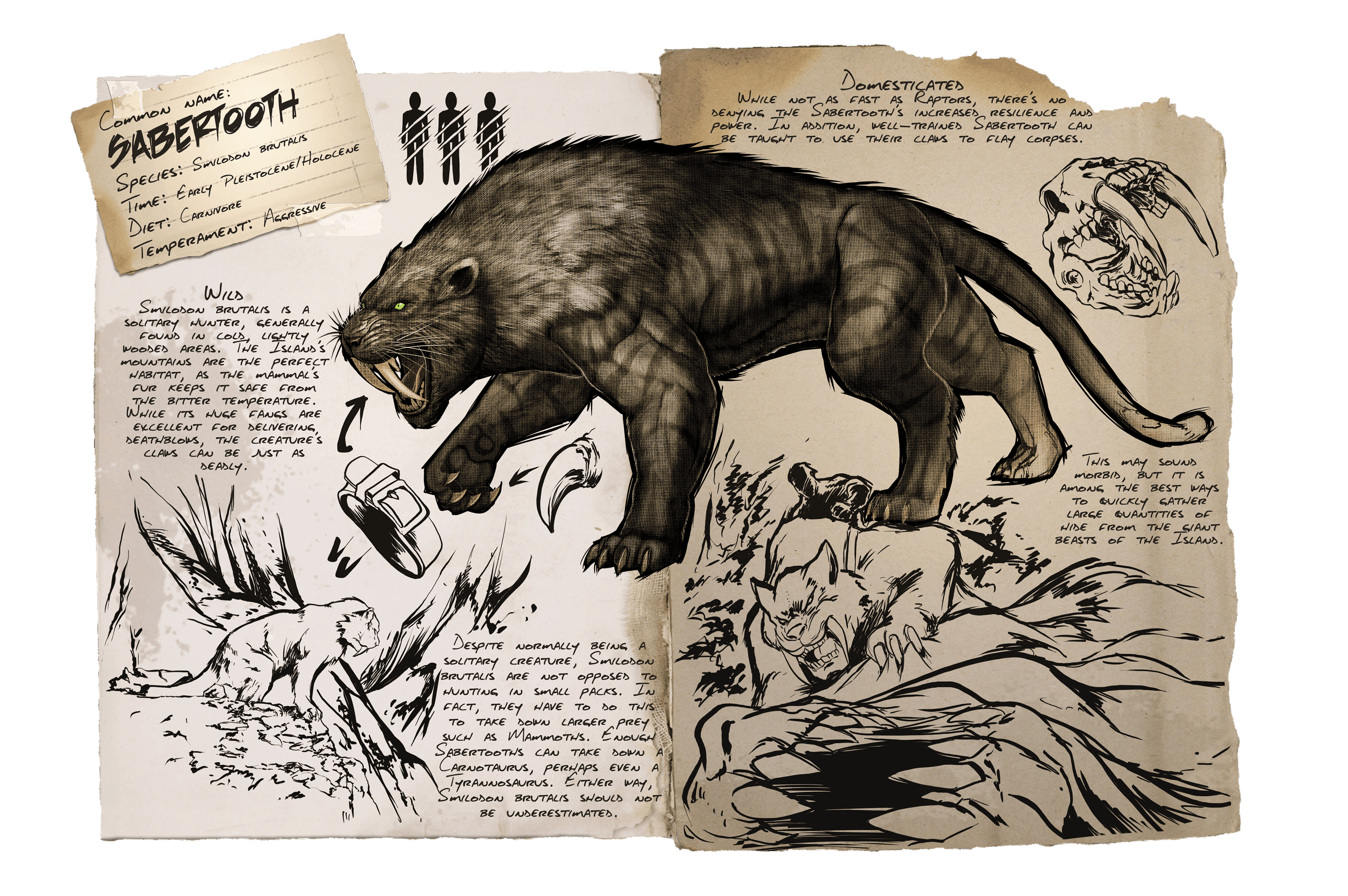 Sabertooth