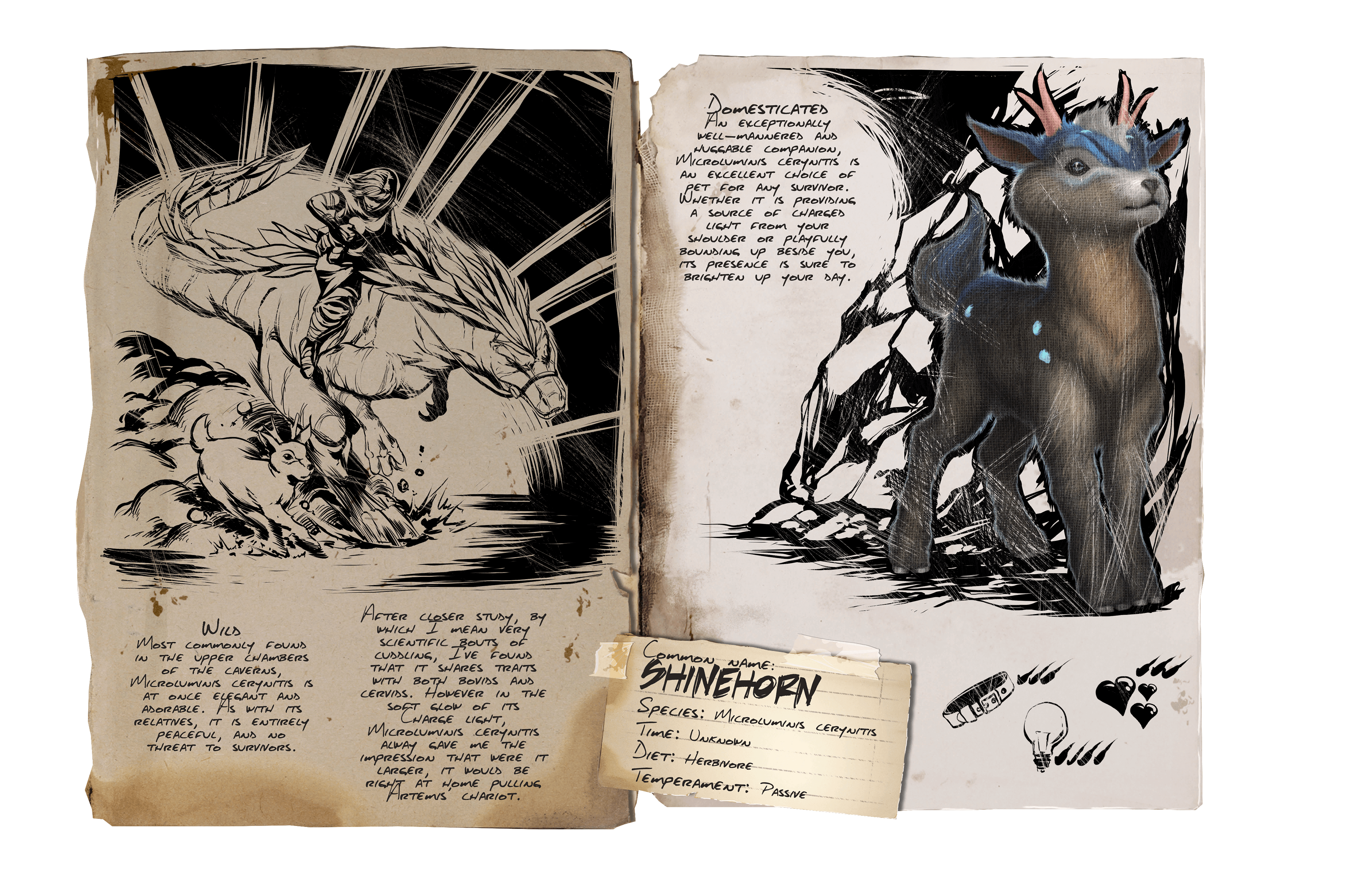 Shinehorn