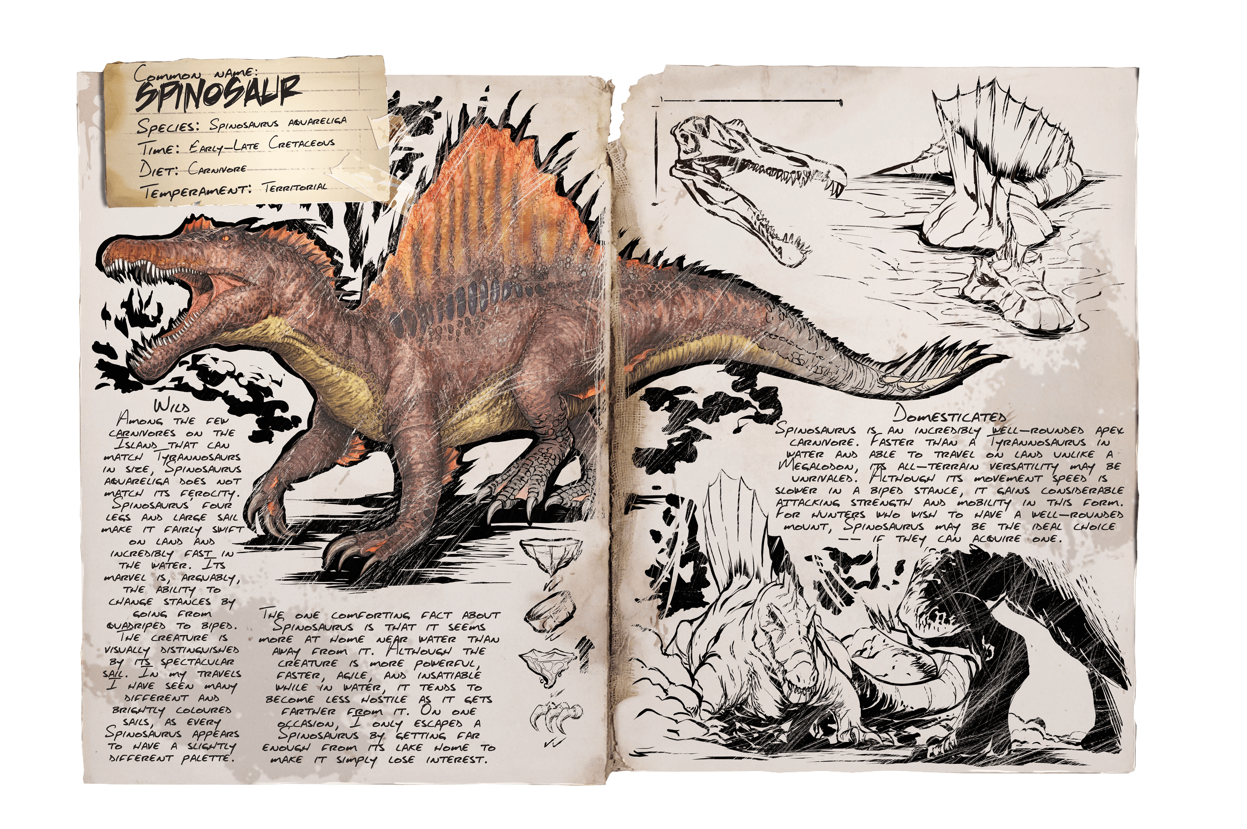 Spino
