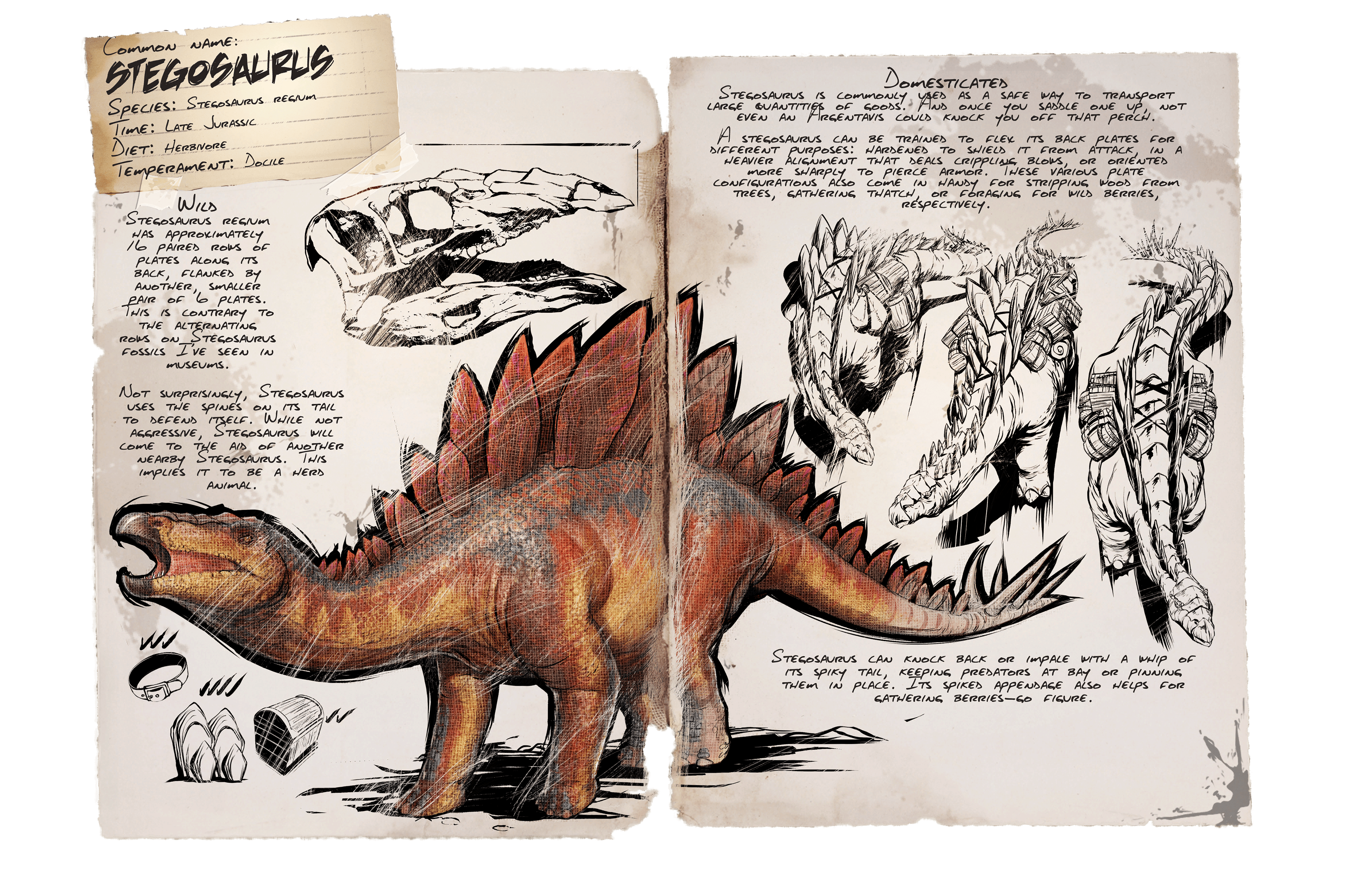Stegosaurus