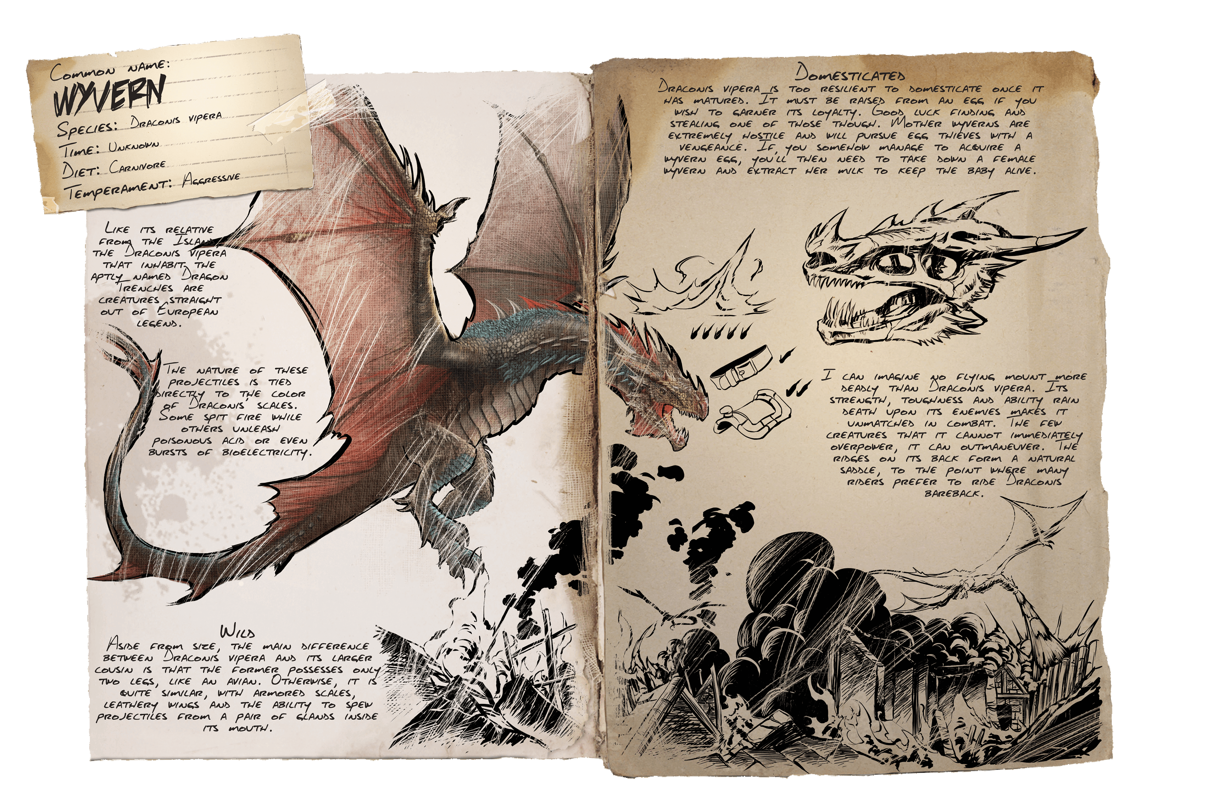 Wyvern