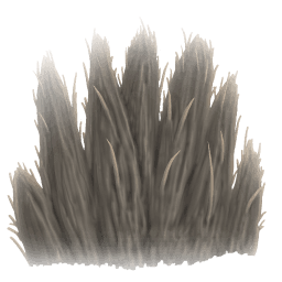 Pelt
